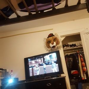 Meet your Posher, Will the